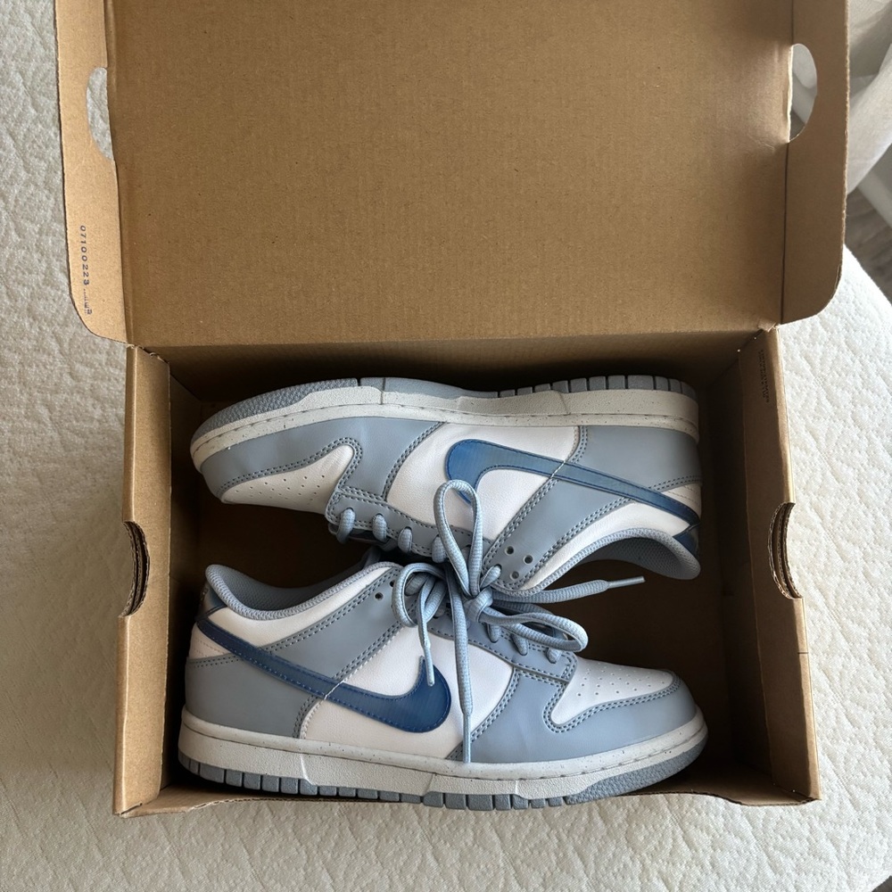 Nike Dunk Low Shoes